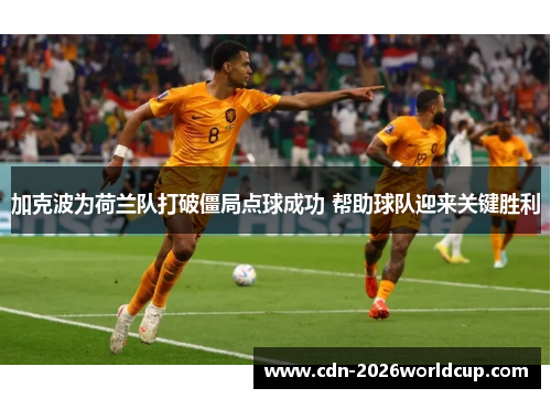 加克波为荷兰队打破僵局点球成功 帮助球队迎来关键胜利